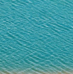 Meet your Posher, Marilyn